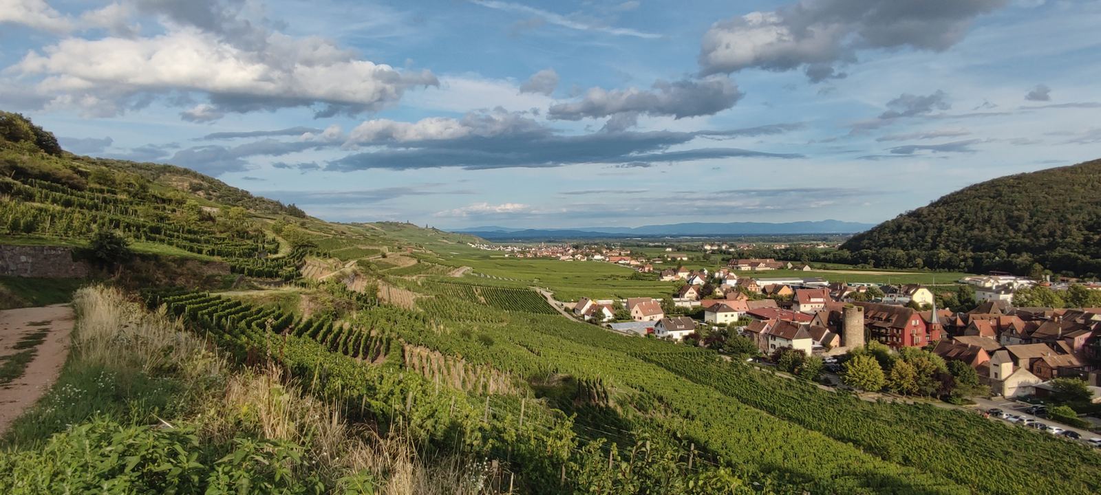 Vignoble français descendant vers un village