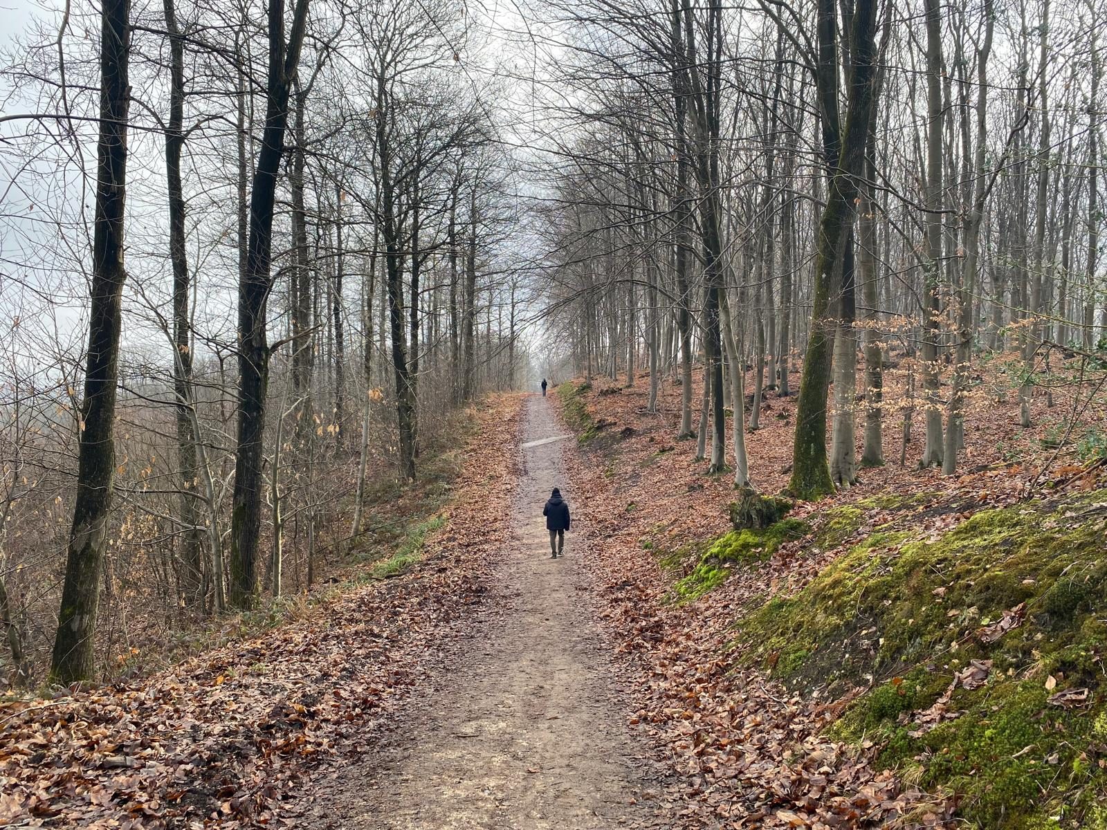Silhouette marchant seule sur un chemin forestier en hiver