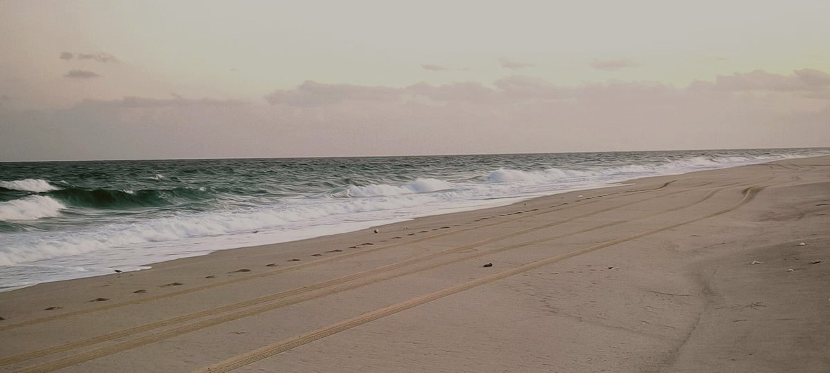 Traces de route au matin sur une plage calme d’Oman