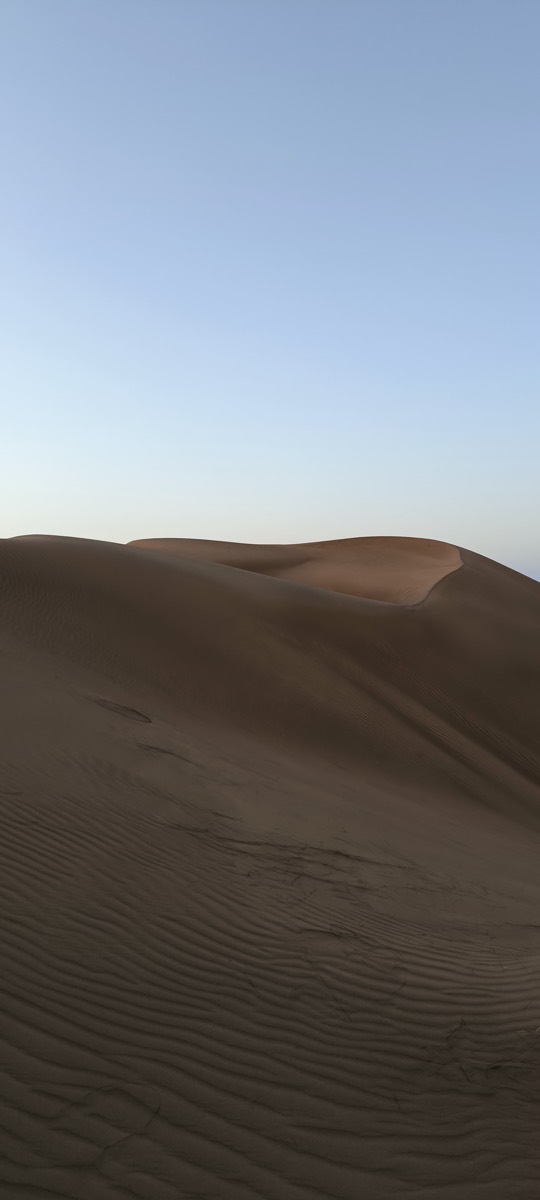 Dunes silencieuses au lever du jour dans le désert omanais